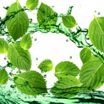 Concentrate - Decadent Vapours Menthol Special Blend (10ml)